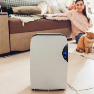 Top air purifiers you can find in the country