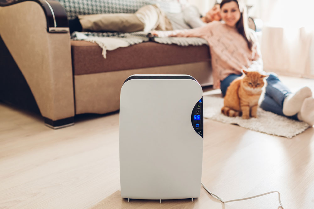 Top air purifiers you can find in the country