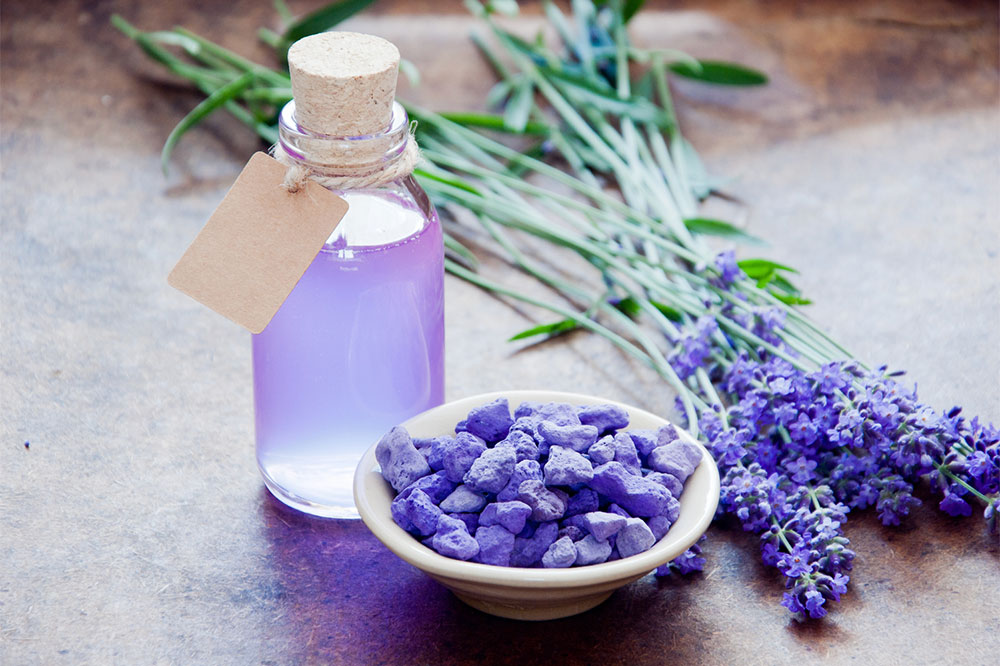7 scents that repel mosquitoes effectively