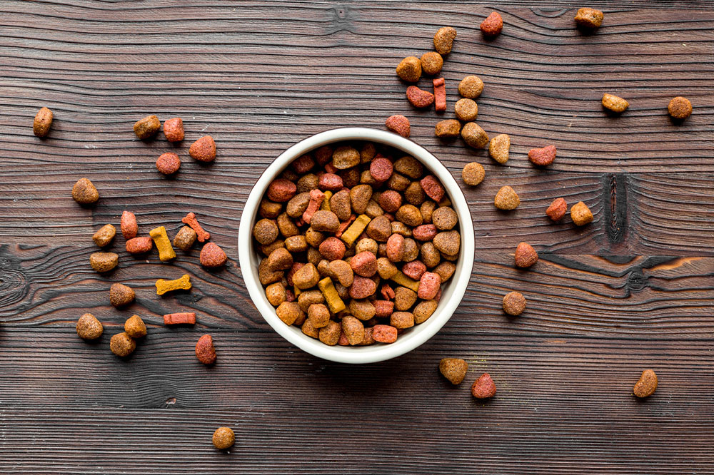 10 best dog food delas to look for this Black Friday