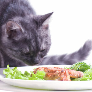 7 human foods that cats can safely relish