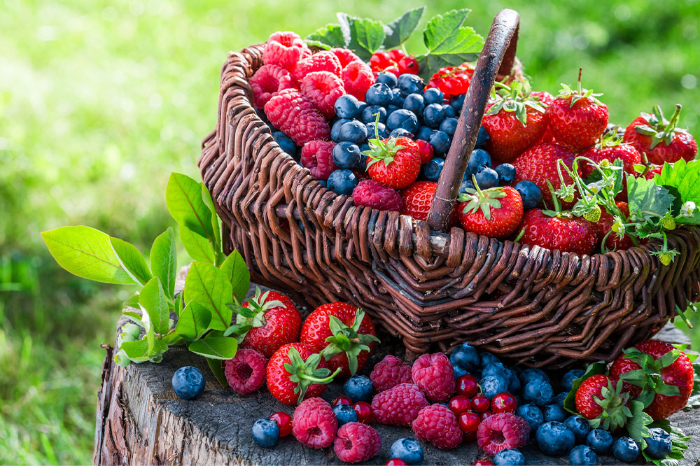 Managing COPD – Foods to Eat and Avoid