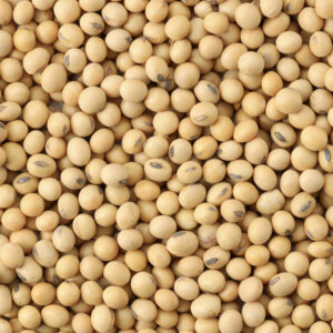 10 foods that help manage menopause symptoms better