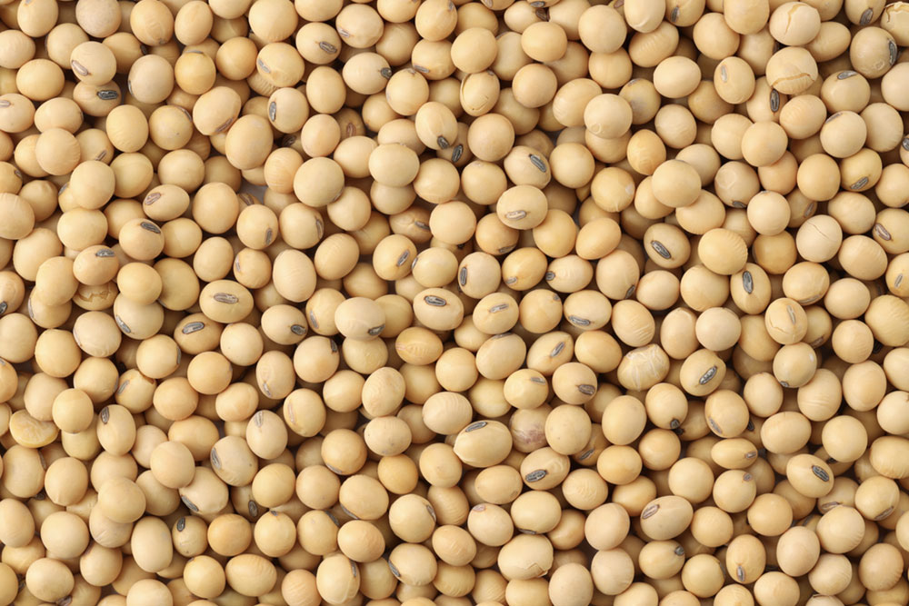10 foods that help manage menopause symptoms better