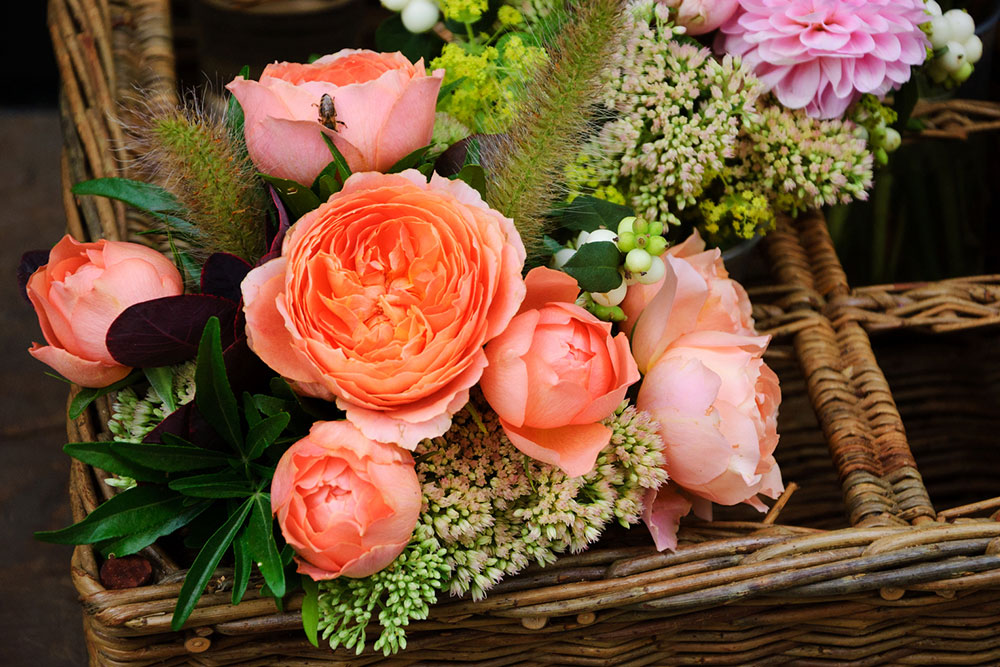 10 Expected Deals on Flowers and Gifts for Black Friday 2023